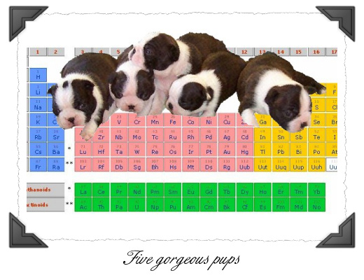 Elements Litter